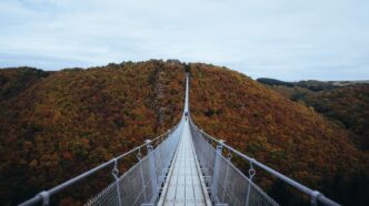 Photo Cable structure